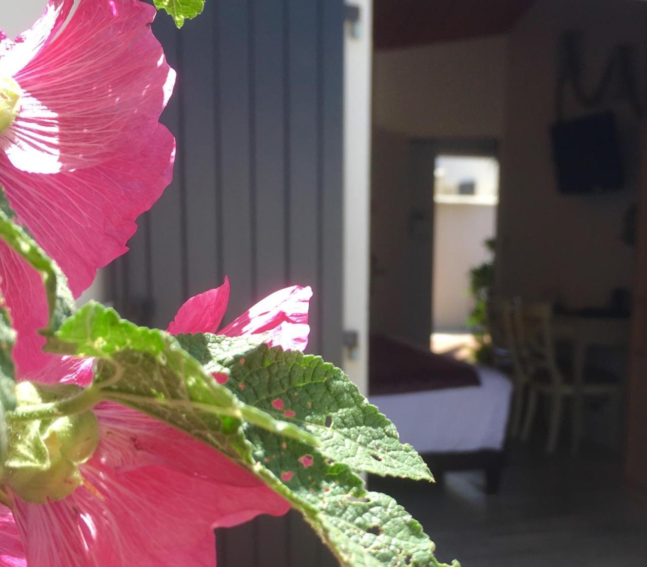 Hotel Restaurant & Spa Plaisir Le Bois-Plage-en-Ré Kültér fotó